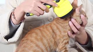 53  Pet Grooming Brush v053