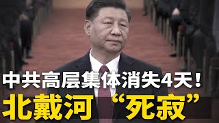 中共高层集体消失4天！出什么事？北戴河消息紧锁，党官爆实名举报潮；习近平留下猛药，防中国崩盘 | #官场周围（035）