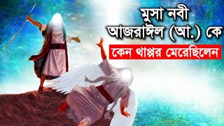 মুসা নবী আজরাঈল (আ.) কে কেন খাপ্পর মেরেছিলেন? ইসলামিক কার্টুন Musa As l Bangla Islamic Cartoon