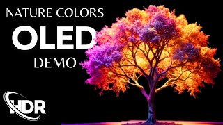 Best OLED Demo Nature Colors in HDR, 60 FPS with Dolby Vision, and Dolby Atmos.