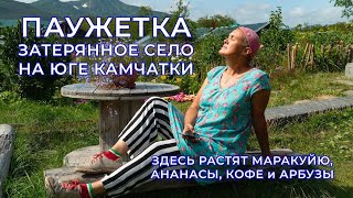 ПАУЖЕТКА - затерянное село на юге Камчатки, где растят кофе, маракуйю и дыни