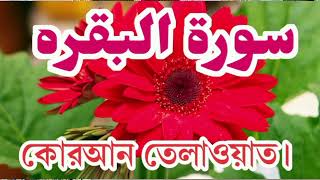 December 26, 2023 সূরাহতুল বাকারাহ'  Quaran Telaowat Surah Bakarah