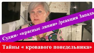 Суджи- - реакция Запада/Тайны «тайны кровавого» понедельника.