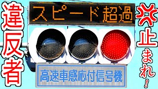 【違反者は止まれ！】強制的に赤信号になる信号機！スピード違反車両取り締まり用？～高速車感応付き信号機～