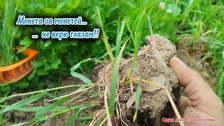 Монета за монетой ...!!! #metaldetecting #поискиклада  #поискмонетметаллоискателем #фильм #клад