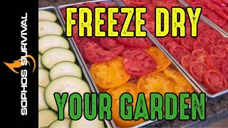 How to freeze dry tomatoes and zucchini with your Harvest Right - DIY food storage