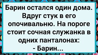 Как Барин Один Дома Остался! Большой Сборник Свежих Смешных Жизненных Анекдотов!