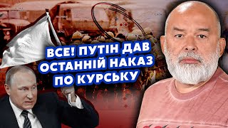 💣ШЕЙТЕЛЬМАН: Путіна ПІДКОСИЛО після Курська! Білоусов ДОМОВИВСЯ із США. Еліти готують ПЕРЕВОРОТ?