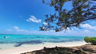 Mauritius -  Pointe d`Esny Beach/Plage d`Esny Beach - Maurice