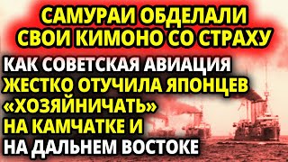 САМУРАИ ОБДЕЛАЛИСЬ НЕПОДЕТСКИ. КАК СОВЕТСКАЯ АВИАЦИЯ В НАЧАЛЕ 30-Х ЖЕСТКО   ПРОТУЧИЛА ЯПОНЦЕВ