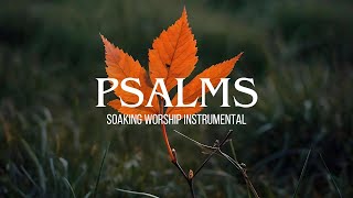 Psalms - Soaking Worship Instrumental | Prayer & Devotional