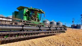 Grain Harvest, Grain Harvest, Grain Harvest