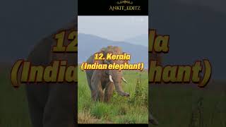 Indian state and their national animal #india #state #animal #shorts #ytshort #attitude