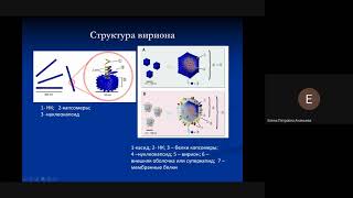 Микробиология_АнаньеваЕП_9_1