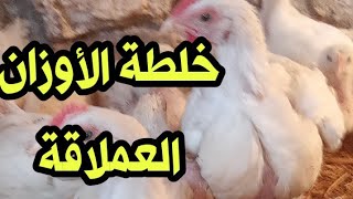 خلطة الأوزان العملاقة هتخلي الفرخة أحجامها جبارة خيال والسر هنا وتعالوا نشوف.....