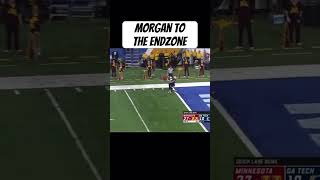 2018 Quick Lane Bowl  Minnesota Golden Gophers  defeated Georgia Tech 34-10 #bigten