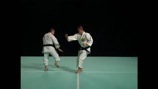 SOKUTO GERI HIKI ASHI NAMI GAESHI