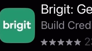 Brigit get $250 Review