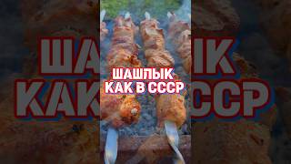 ШАШЛЫК 🍢как в СССР #шашлык #шашлыки #мясо #мангал #гриль #рецептыотамбара