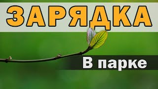 Зарядка в парке (Среднего уровня) 15 минут, стоя