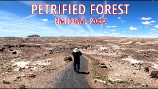 Petrified Forest National Park & Painted Desert