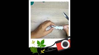 daun dari kertas #diy #dekorasi #menghiaskelas