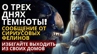 О ТРЕХ ДНЯХ ТЬМЫ! СООБЩЕНИЕ ОТ СИРИУСОВЫХ ФЕЛИНОВ