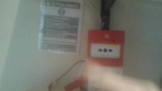 My fire alarm test 30.