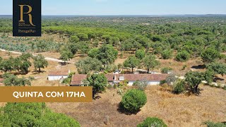 Quinta de 17,2 hectares com casa em ruínas | REF. 1001