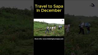 Travel to Sapa in December