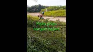 mata pisau pemotong rumput yg sangat tajam