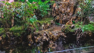 Making an Aquaterrarium with a big waterfall