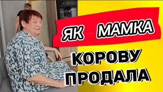 КОНЯ УКРАЛА КОРОВУ ПРОДАЛА #самвеладамян