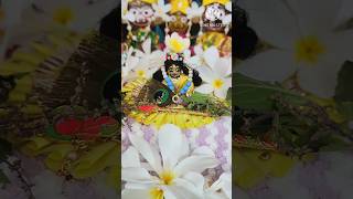 Radhe Radhe 🙏l kisika sukh chin kar aap sukhi nehi ho sakte 🙏l