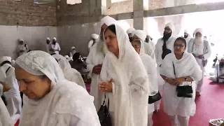 550 Guru Nanak | 2019 11 03 A l Gurudwara Dera Sahib, Shaheedi Asthan Guru Arjan Sahib Ji, Lahore