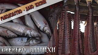 Серебро Аллаихи. Рыболовство – дело жизни