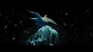 ALCEST - Protection (OFFICIAL MUSIC VIDEO)