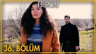 Hercai 36. Bölüm