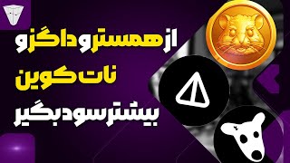 همستر یا داگز یا نات کوین یا کتیزن داری؟ می خوای بیشتر سود کنی؟ مثلا ۲۰۰۰۰ دلار