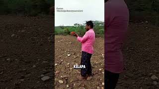 Mencari Sumber Air Dengan Kelapa