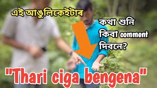 আঙুলিকেইটাৰ বাবে নিজকে ঠাৰি চিগা বেঙেনাৰ লগত তুলনা কৰিলে//কি ক’ব কাহিনী শুনাৰ পিছত