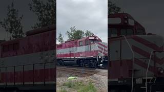 Rare Pink LDSX GP10 on CN 424