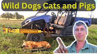 Stalking Wild Dogs, Shooting Feral Cats and Pigs