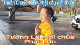 Tường Lam  viếng chùa Phật Lớn-   5 tuổi ăn chay #tuonglam #loiphatday