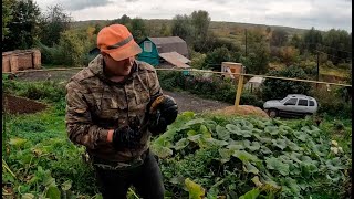 Вырастили огромную тыкву, решаем как облагородить склон