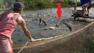 AmazingFishing by Electric Tool - Fishing in Cambodia - How to Catch Fish with modern Tool