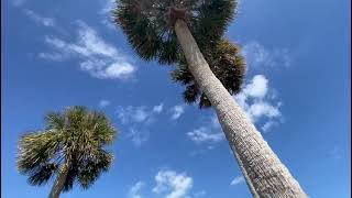 FRENCH CASTLE DE CASTILLO IN ST  AUGUSTINE