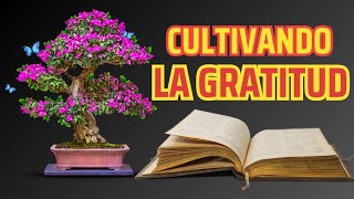 Cultivando LA GRATITUD: La perspectiva Bíblica que Transforma Vidas