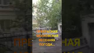 МОСКВА  8 МАЯ 2024 ГОДА  ПОГОДА РАДУЕТ МОСКВИЧЕЙ И ГОСТЕЙ СНЕГОМ! #video #тикток #video #videoshort