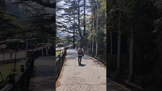 Mussoorie| Mera Dil kahin dur pahadon mein kho gaya